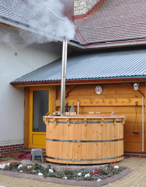 Dom Tulipan Villa Krynica Zdrój Kültér fotó